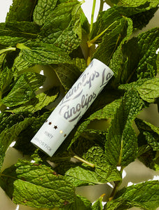 Minty Lanostick on mint leaves